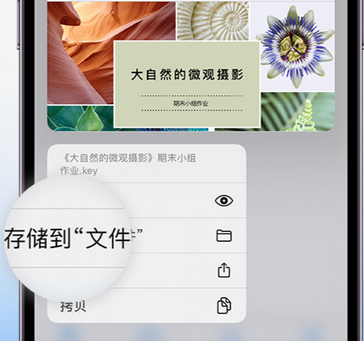 鸡东apple维修中心分享iPhone文件应用中存储和找到下载文件