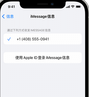 鸡东apple维修iPhone上无法正常发送iMessage信息