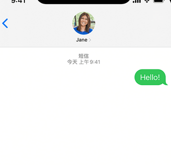 鸡东apple维修iPhone上无法正常发送iMessage信息