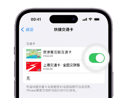 鸡东apple维修点分享iPhone上更换Apple Pay快捷交通卡手绘卡面 