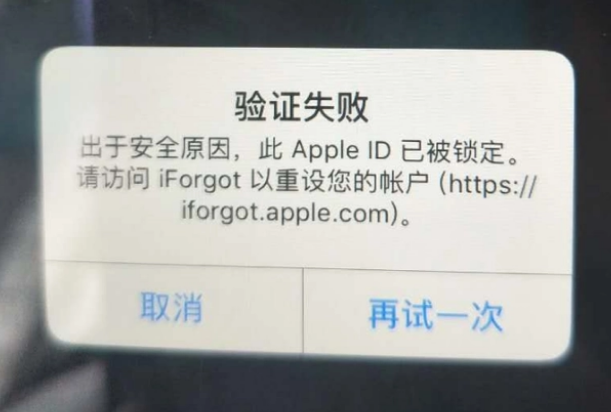 鸡东iPhone维修分享iPhone上正常登录或使用AppleID怎么办 