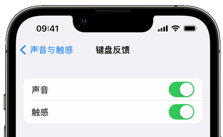 鸡东苹果手机维修分享iPhone 14触感键盘使用方法 