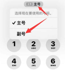 鸡东苹果14维修店分享iPhone 14 Pro Max使用副卡打电话的方法 