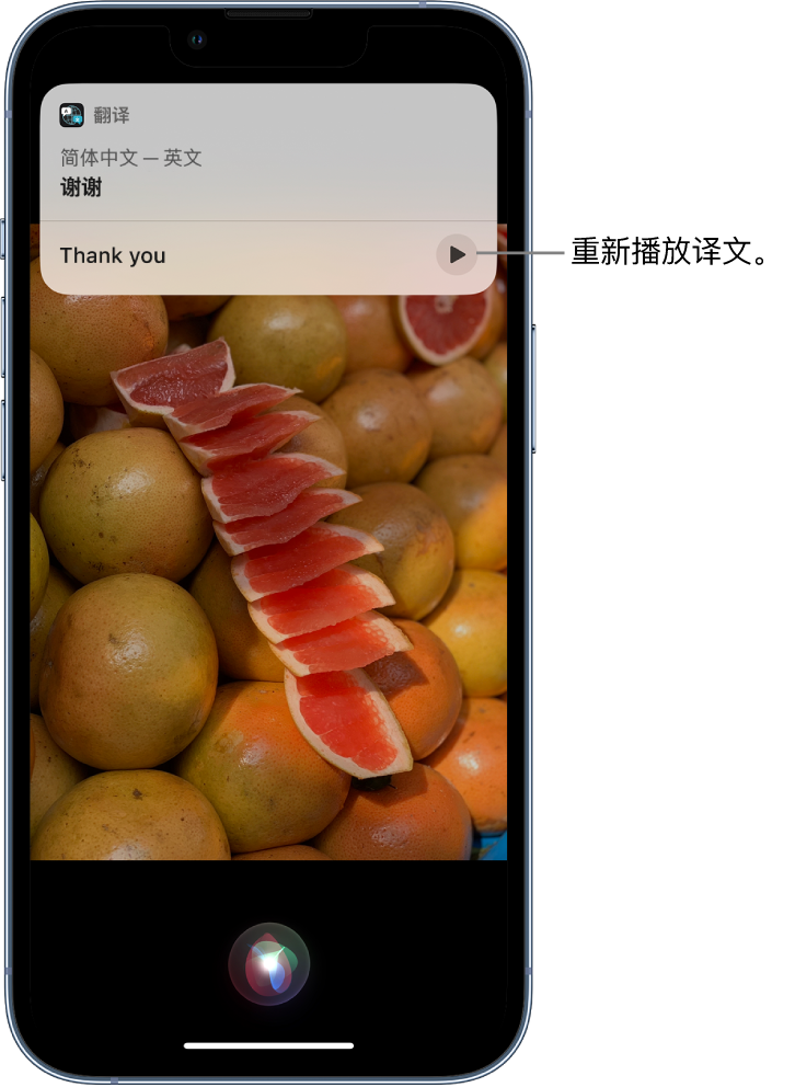 鸡东苹果14维修分享 iPhone 14 机型中使用 Siri：了解 Siri 能帮你做什么 