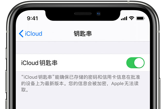 鸡东苹果手机维修分享在 iPhone 上开启 iCloud 钥匙串之后会储存哪些信息 