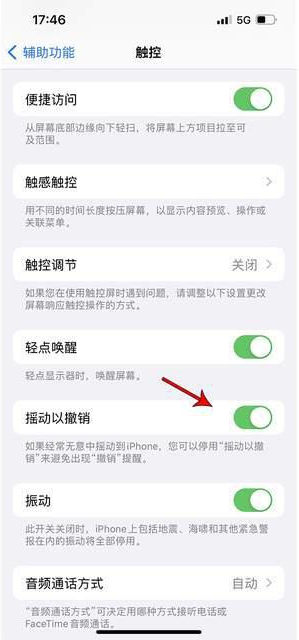 鸡东苹果手机维修分享iPhone手机如何设置摇一摇删除文字 