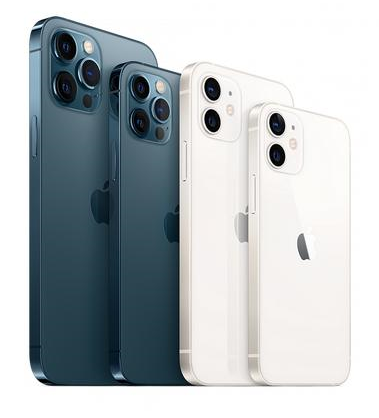 鸡东苹果维修点分享iPhone 12 Pro黑屏小众问题解析 