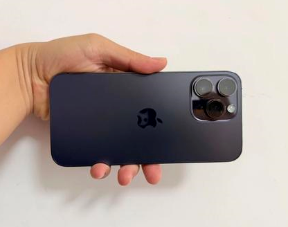 鸡东苹果维修点分享iPhone 14 Pro Max发烫多重诱因剖析 